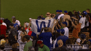 celebration win GIF by MLB