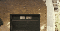 GIF by Rosemarie Records