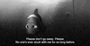 please stay finding nemo GIF