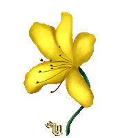 Flower Weed Sticker by There are stories longing to be told...