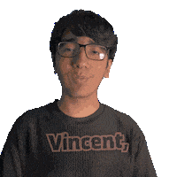 Vincent Sticker