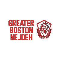 AYF-YOARF olympics youth boston arf Sticker