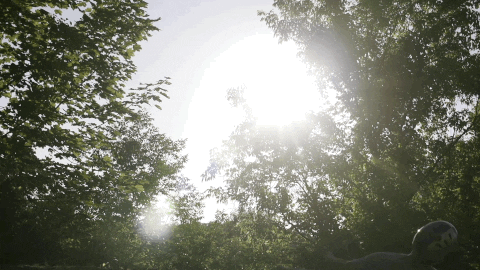 builder GIF by EchoBoom Sports