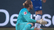 Go Team Football GIF by FC Schalke 04