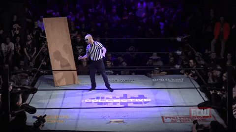 Dr_P giphygifmaker invisible man vs invisible stan GIF