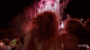 South Carolina Fireworks GIF by University of South Carolina