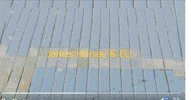 Eli GIF by James Hersey