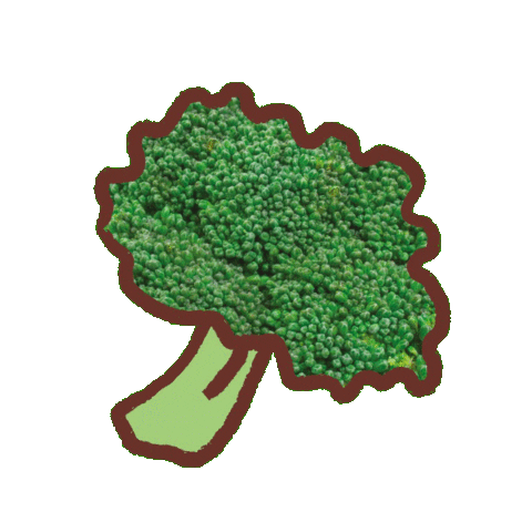 Fruit Vegetable Sticker by Ella's Kitchen