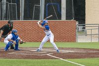 Baseball GIF by TCABB