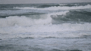 North Carolina Beach GIF by MaRynn Taylor