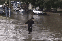 flood GIF
