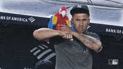Regular Season Sport GIF by MLB