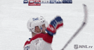 Ice Hockey Hug GIF by NHL