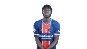 Happy France Sticker by Paris Saint-Germain Handball