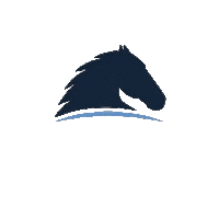 Horses Jumping Sticker by Hippomundo