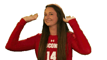 Celebrate Wisconsin Volleyball Sticker by Wisconsin Badgers