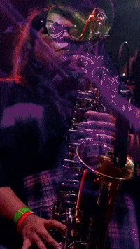 Ska Punk GIF by Bill Skasby