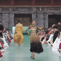 Vipra GIF