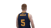 Basketball Hoops Sticker by Basket_fi