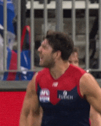 Celebrate Melbourne Football Club GIF by Melbournefc
