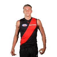 Football Sport Sticker by Essendon FC