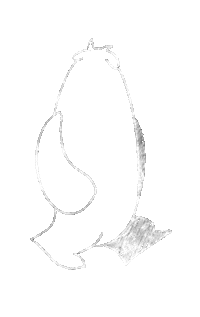 Walking Sketch Sticker