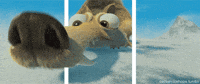 sniffing ice age GIF