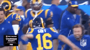 2018 Nfl Football GIF by NFL
