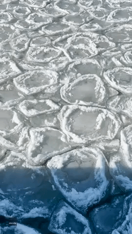 Thick Sheets of 'Pancake Ice' Float Along Chicago Lakeshore