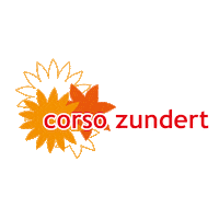 Flower Parade Sticker by Corso Zundert