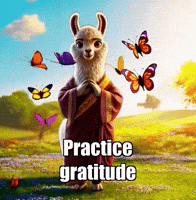 Wisdom Positivity GIF by dalaillamazen