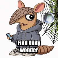 Wisdom Appreciation GIF by Chillo Dillo