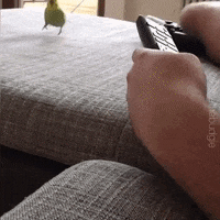 Slow Motion Reaction GIF by JustViral.Net