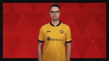 Dynamo Dresden Football GIF by Bundesliga