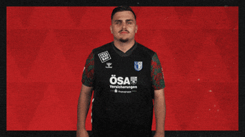 Fc Magdeburg What GIF by Bundesliga