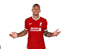 Premier League Football Sticker by Liverpool FC