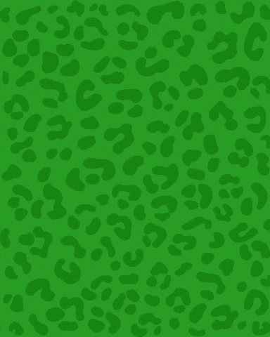 safariplay safari soft play safari play indoor play GIF