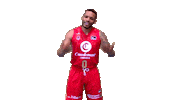 Celebrate Lets Go Sticker by ACB