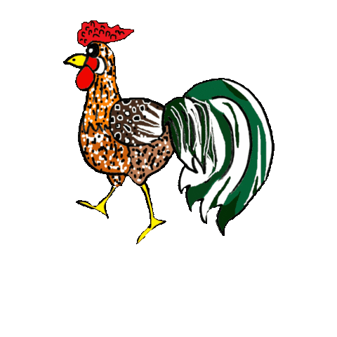 Rooster Chickens Sticker