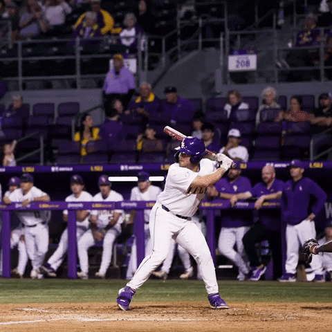 Baton Rouge Baseball GIF by LSU Tigers