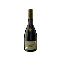 Chardonnay Trentino Sticker by Endrizzi