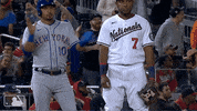 Celebrate Ny Mets GIF by New York Mets