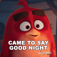 Paramount Pictures GIF by Angry Birds Movie