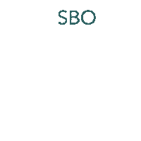 Sbo Sticker by Creative Label