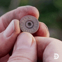 GIF by Discovery