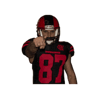 Flamengofa flamengo mengo bfa futebol americano Sticker