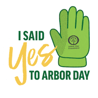 Arbor Day Yes Sticker by Arbor Day Foundation