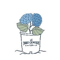 Blooming Blue Flowers Sticker by The Tree Center