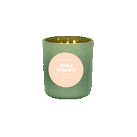 Hellaclean Sticker by Hella Clean Candles