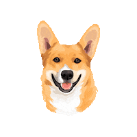 Dog Corgi Sticker by Pickle's Pawtraits